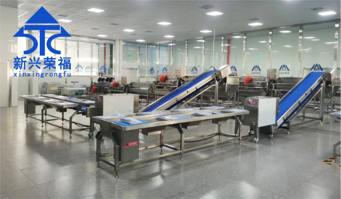 日供蔬菜20噸，新興榮福承建凈菜加工項(xiàng)目完成驗(yàn)收